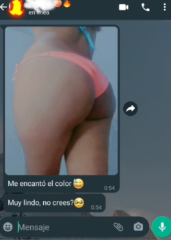 Novia cachonda me manda fotos sexys por chat 18